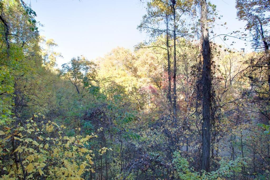 Brave Eagle Cabin Sevierville Δωμάτιο φωτογραφία